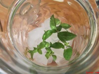 柠檬水制作方法和配方