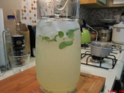 柠檬水制作方法和配方