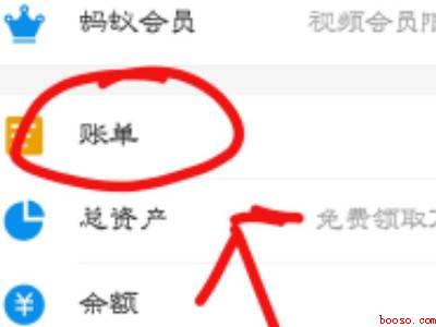 支付宝余额变动明细怎么删除不了（演示机型:Iphone 13）