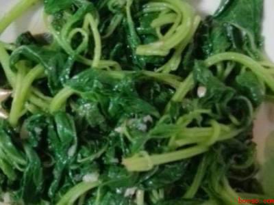 芝麻苗怎么做好吃