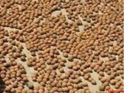 龙眼干怎么制作方法