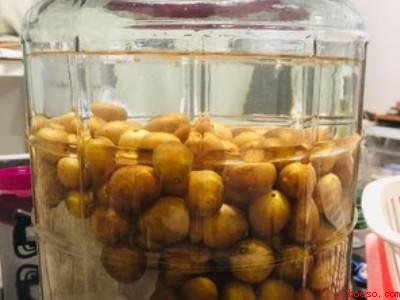 黄皮酒的制作方法