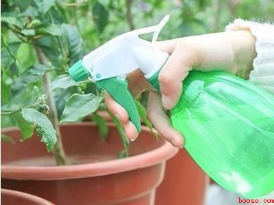 像灰尘的小白虫怎么消灭