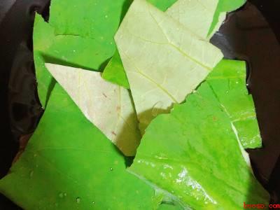 新鲜荷叶怎么处理蒸东西