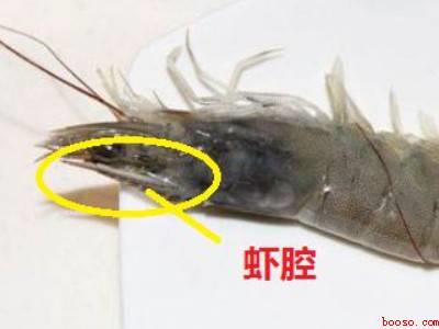 青虾怎么处理干净