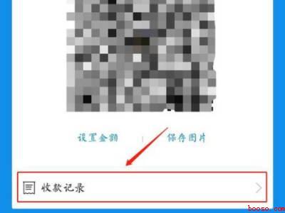 支付宝收款记录在哪里查看（演示机型:Iphone 12）