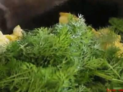 茴香炒鸡蛋怎么做