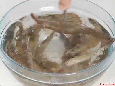 白虾怎么处理干净