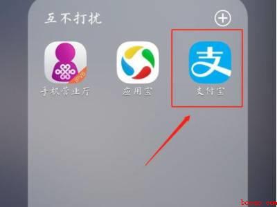 支付宝收款记录在哪里查看（演示机型:Iphone 12）