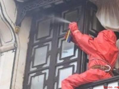 发现马蜂窝怎么处理