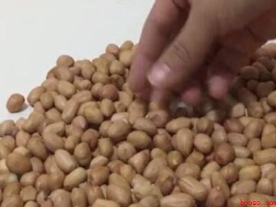 夏天生花生米保存的方法