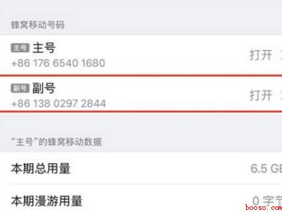 苹果12副卡偷跑流量怎么关