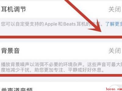 苹果13怎么消除回音