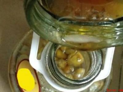 黄皮核泡酒制作方法和配方