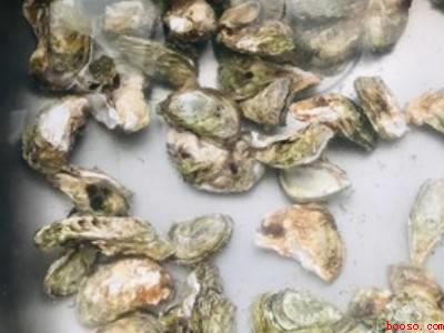 生蚝怎么做好吃又简单家常的（生蚝怎么做好吃又简单家常）