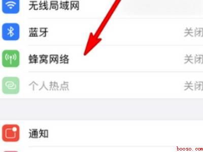 苹果12用自动5g还是启用5g