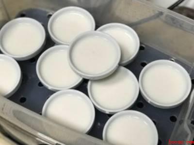 做钵仔糕需要什么材料