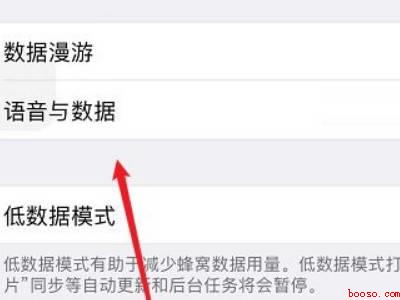 苹果怎么设置4g网络模式