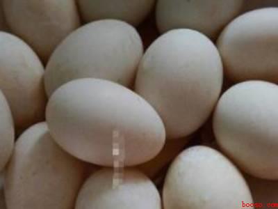 怎么做咸鸭蛋好吃又多油