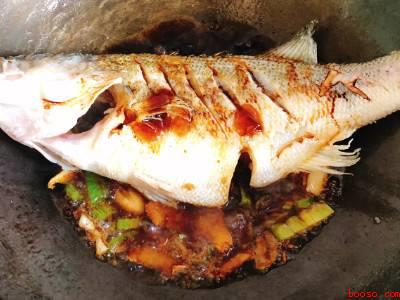 红烧鲈鱼怎么做