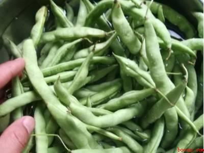 豆角炖肉怎么做