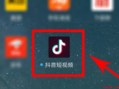 抖音粉丝团等级怎么升级（演示机型:Iphone 13）
