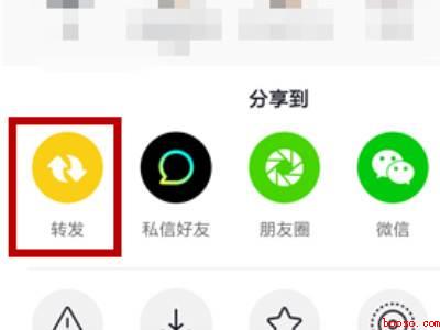 抖音动态视频怎么弄到作品里（演示机型:Iphone 12）