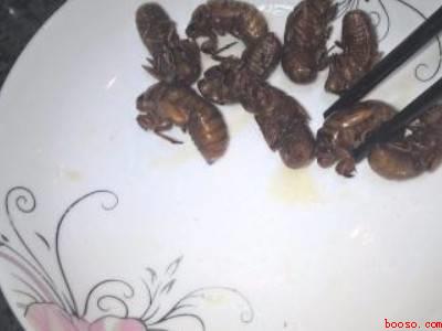 知了怎么炸才又酥又脆