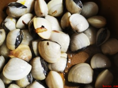 白螺怎么吃