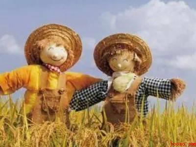 驱赶喜鹊小妙招