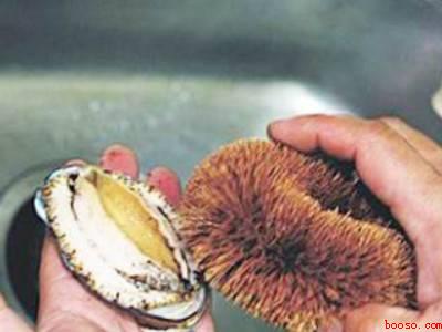 活鲍鱼怎么处理