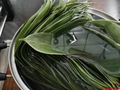 粽子叶怎么煮是绿色的（粽子叶怎么煮是绿色的具体操作步骤）