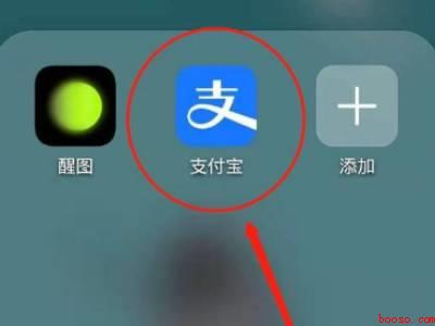 如何查询打疫苗记录（演示机型:Iphone 12）