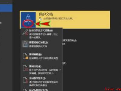 word密码如何解除