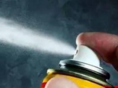 像灰尘的小白虫怎么灭