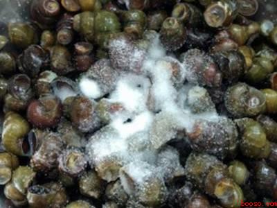 田螺如何清洗干净