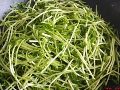 柳蒿芽怎么做好吃