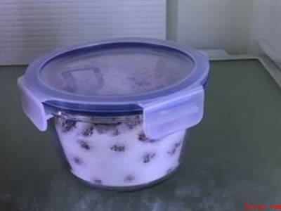 杨梅酒的杨梅怎么处理