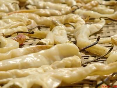 怎么晒白辣椒才脆