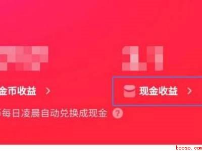 快手极速版提现在哪里（演示机型:Iphone 13）