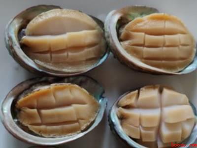 新鲜鲍鱼怎么做好吃又简单方便