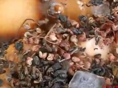 茶蛋的配料及制作方法窍门