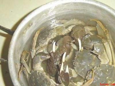 活蟹怎么处理和清洗
