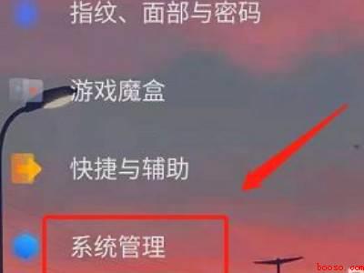 vivo手机如何退回上一级版本