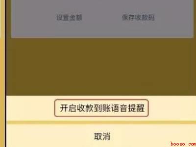 微信转账语音提醒怎么设置（演示机型:Iphone 12）