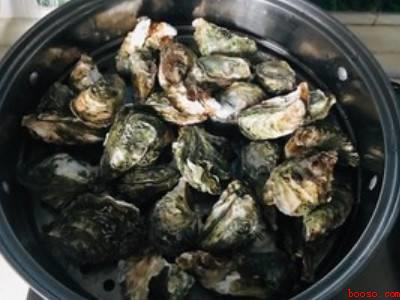 生蚝怎么做好吃又简单家常的（生蚝怎么做好吃又简单家常）