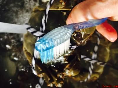 吃大闸蟹怎么吃