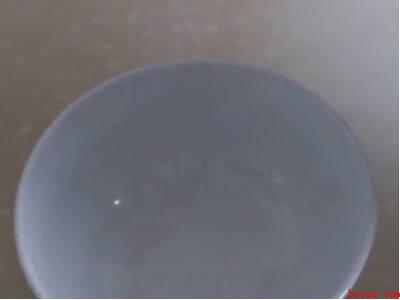 怎么除果蝇小飞虫