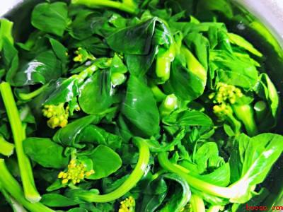 油菜花怎么做好吃