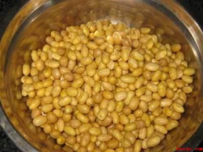 如何用豆芽机发豆芽